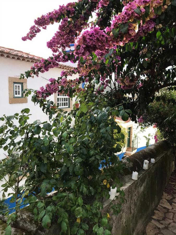 Casa Picva