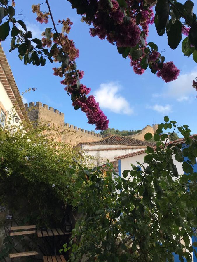 Casa Picva Affittacamere *